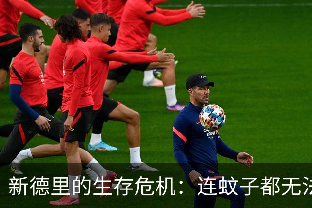 新德里的生存危机：连蚊子都无法忍受的环境