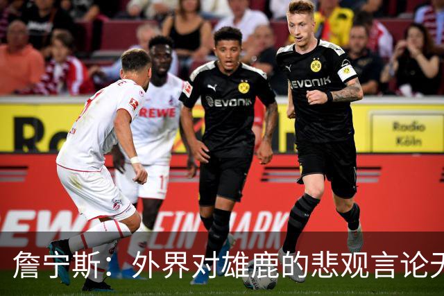 詹宁斯：外界对雄鹿的悲观言论无碍，合同年球员将带来惊喜